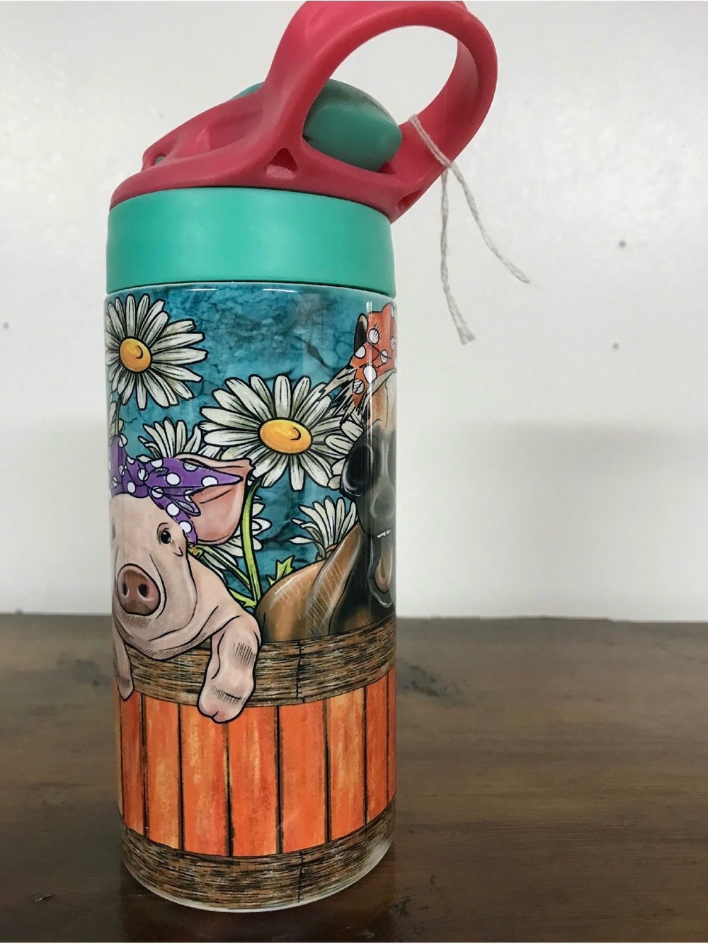 Insulated Kids Water Bottle - Teal & Coral Farm Animal Design